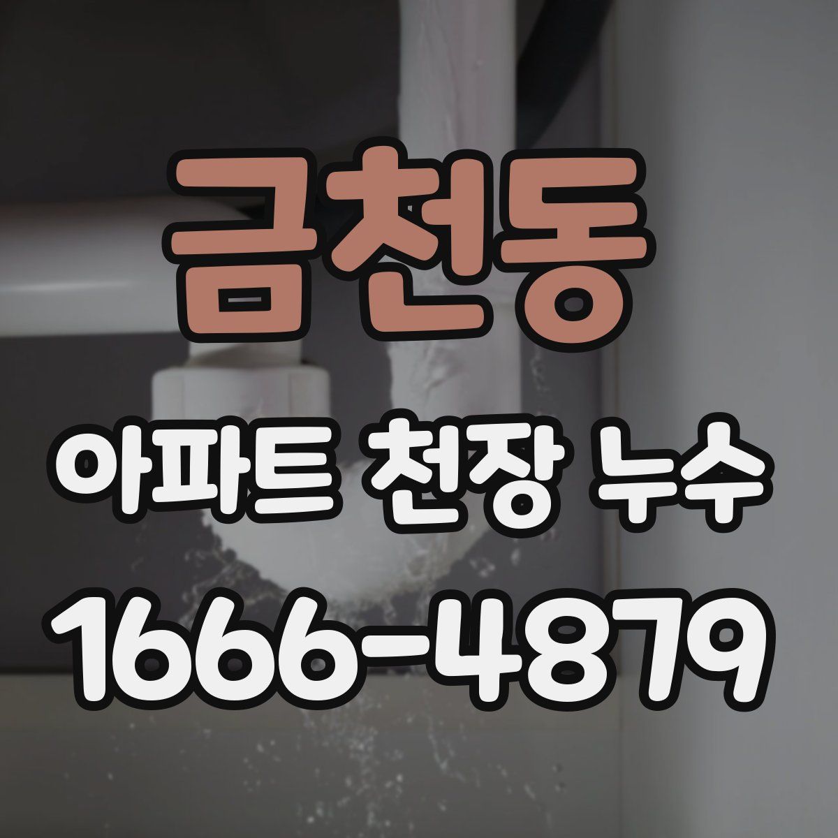 금천동 아파트 천장 누수