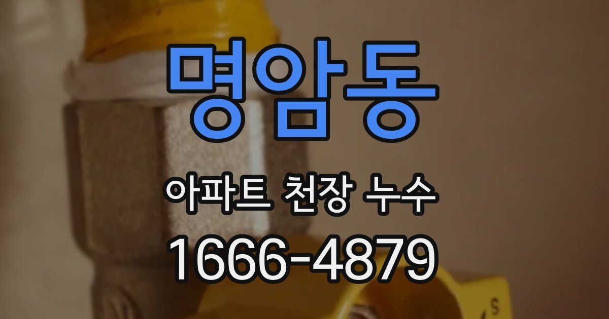 명암동 아파트 천장 누수