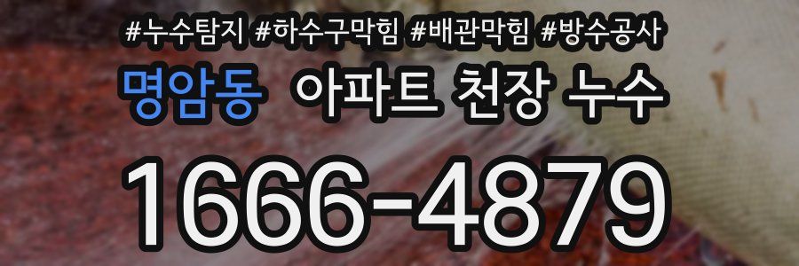 명암동 아파트 천장 누수