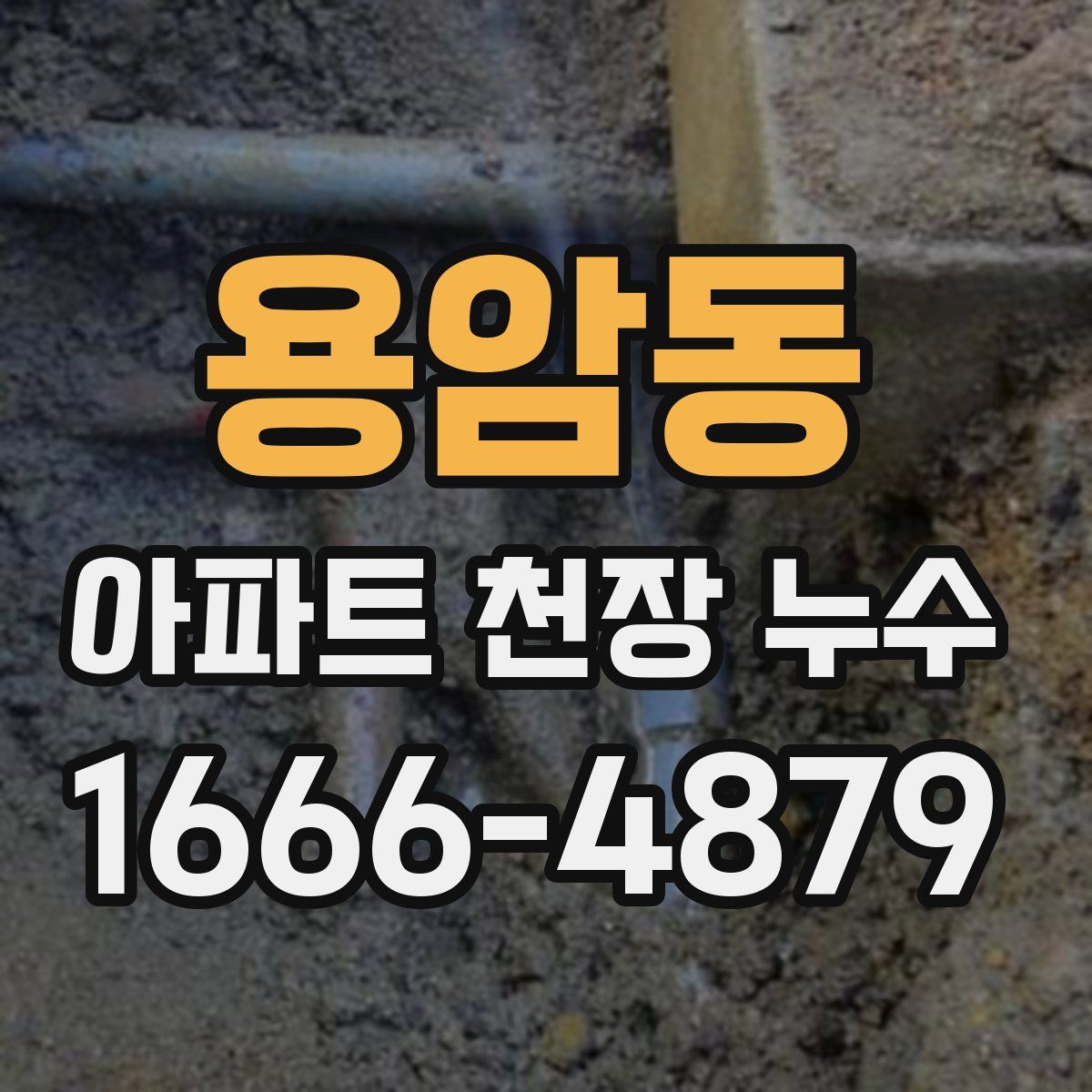 용암동 아파트 천장 누수