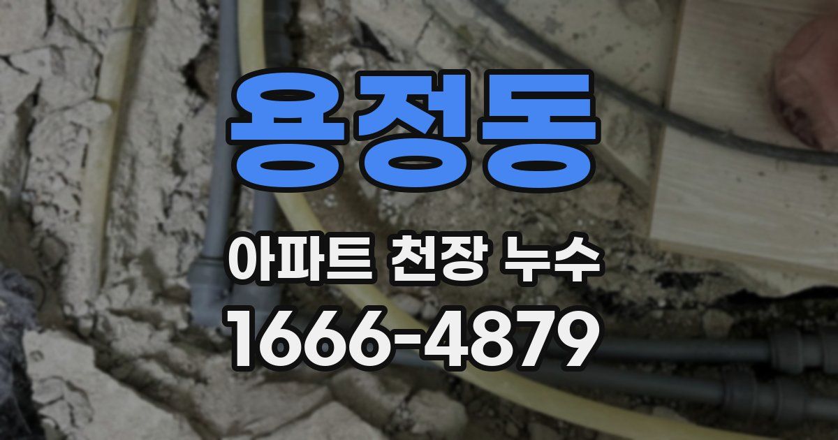 용정동 아파트 천장 누수