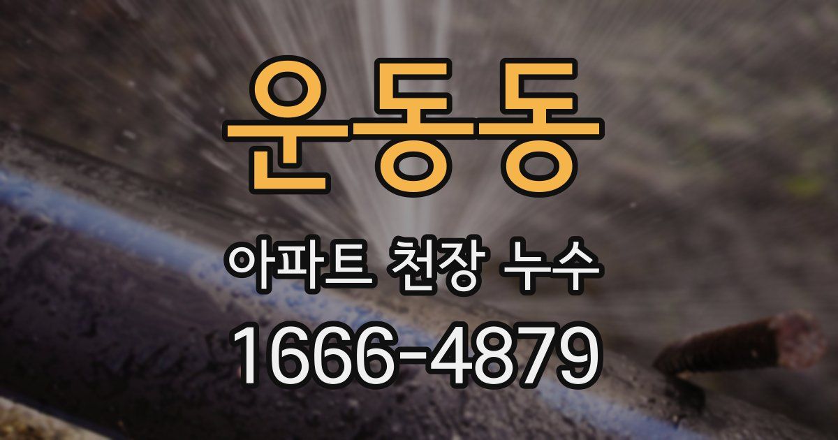 운동동 아파트 천장 누수