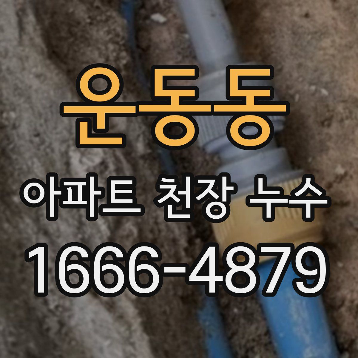 운동동 아파트 천장 누수