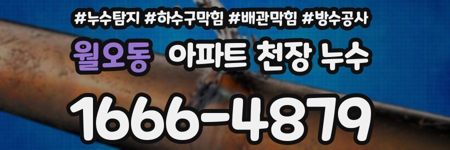 월오동 아파트 천장 누수