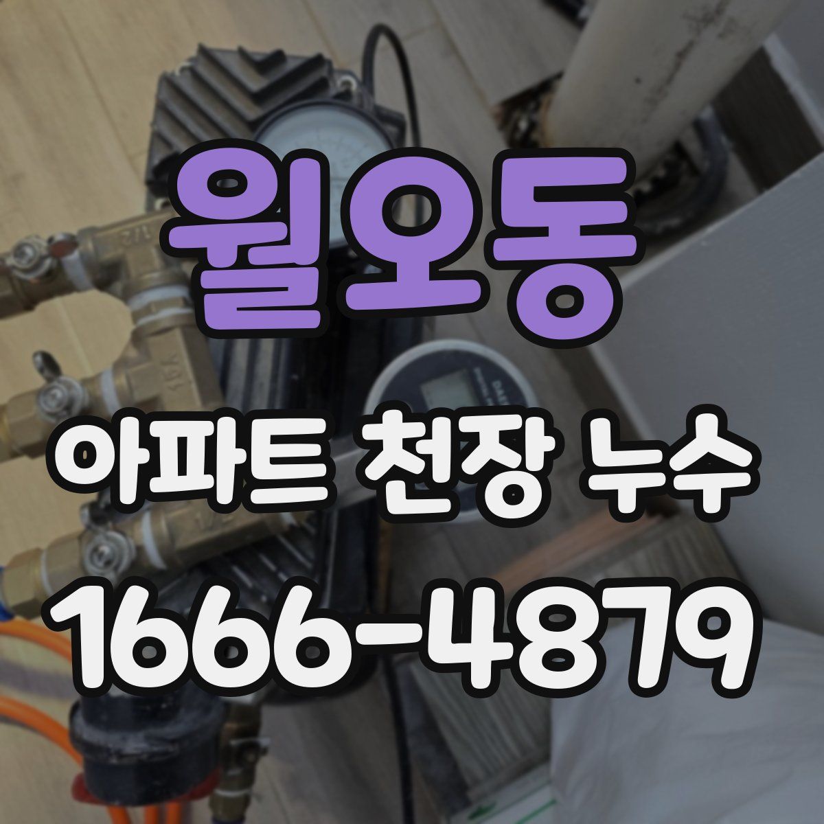 월오동 아파트 천장 누수