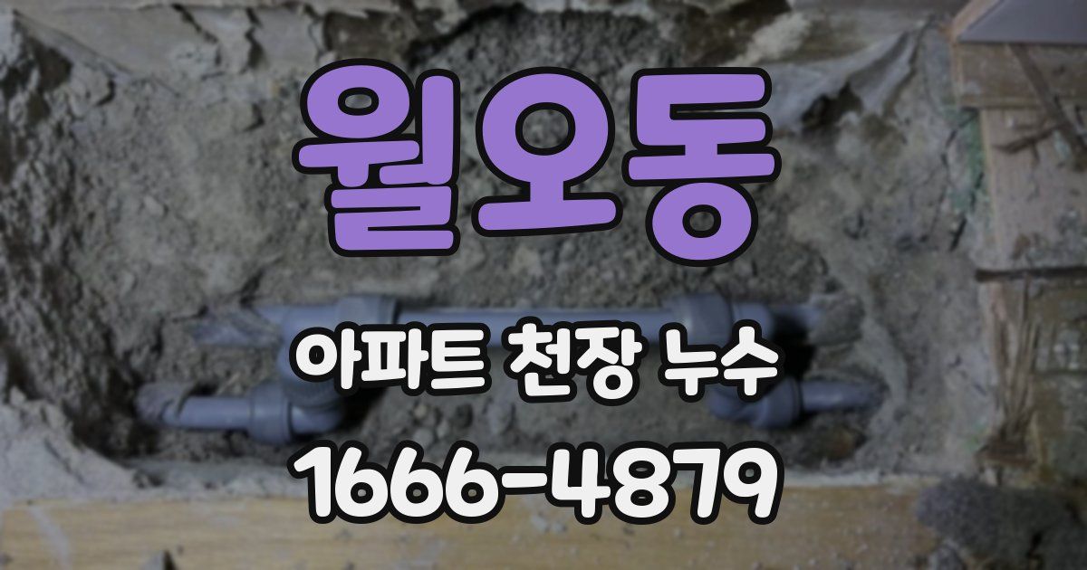 월오동 아파트 천장 누수