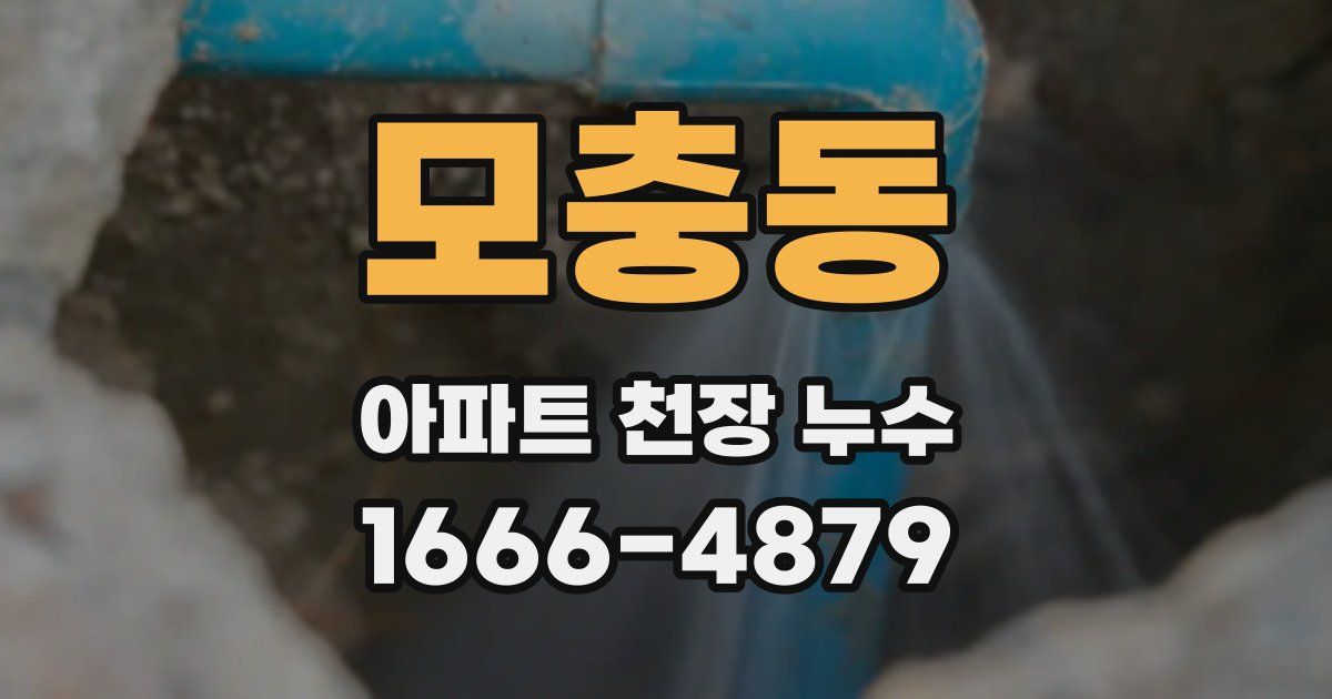 모충동 아파트 천장 누수