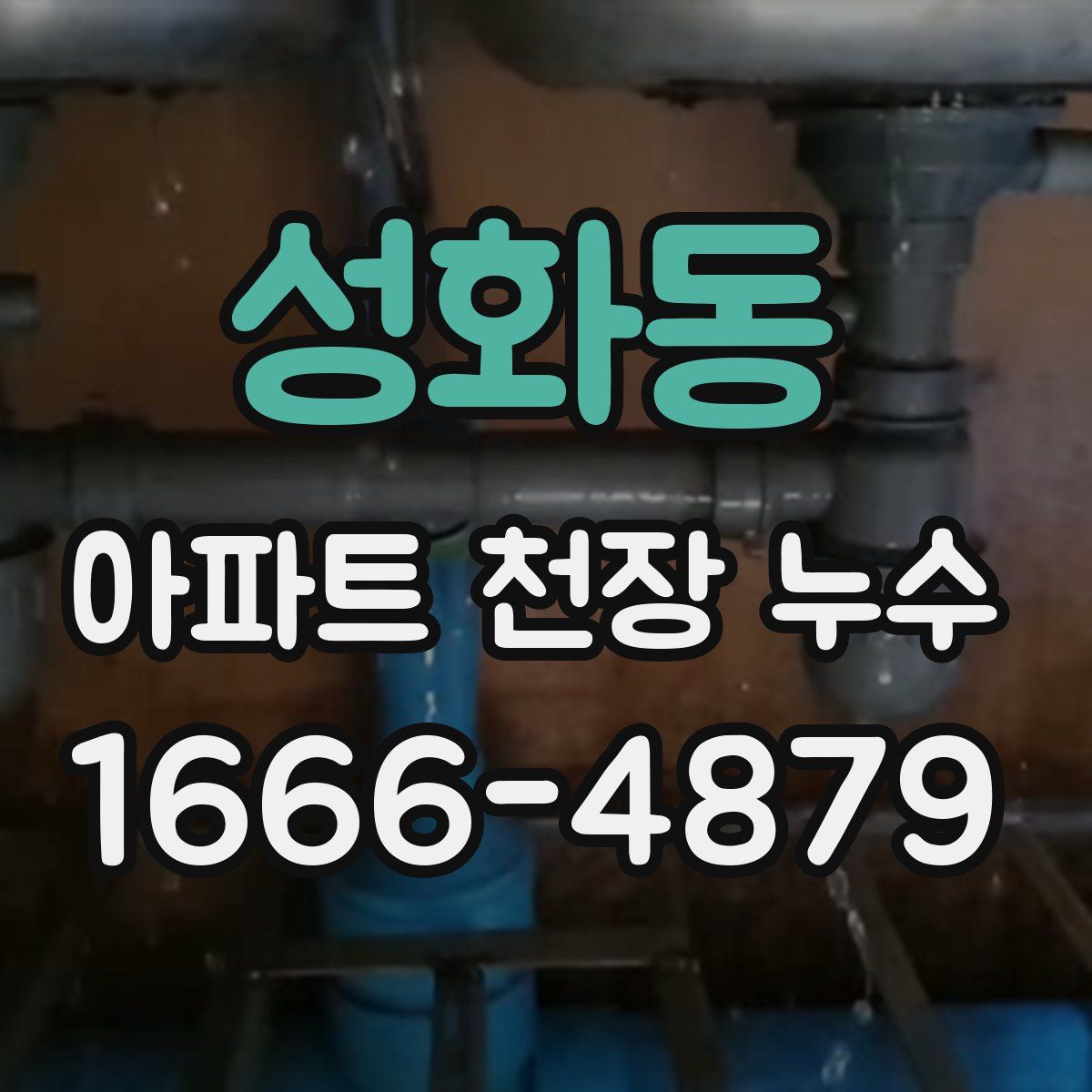 성화동 아파트 천장 누수