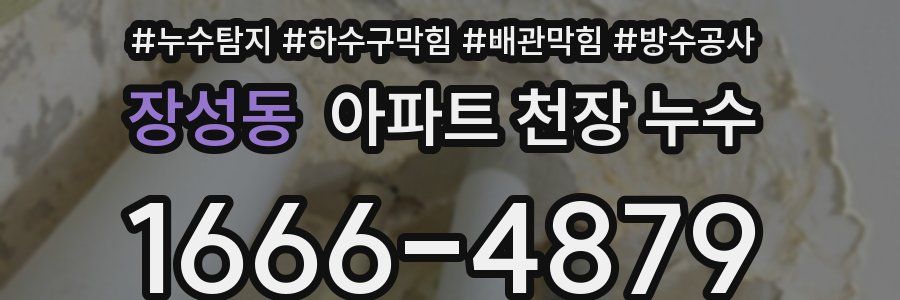 장성동 아파트 천장 누수