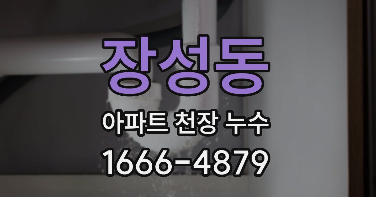 장성동 아파트 천장 누수