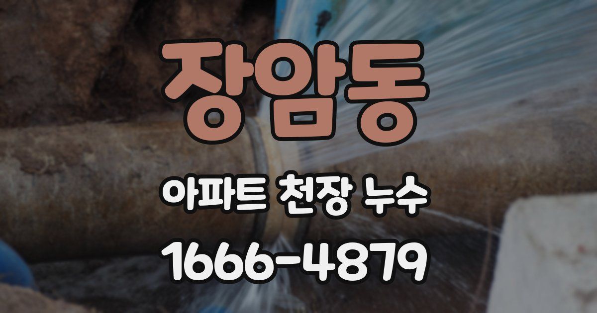 장암동 아파트 천장 누수