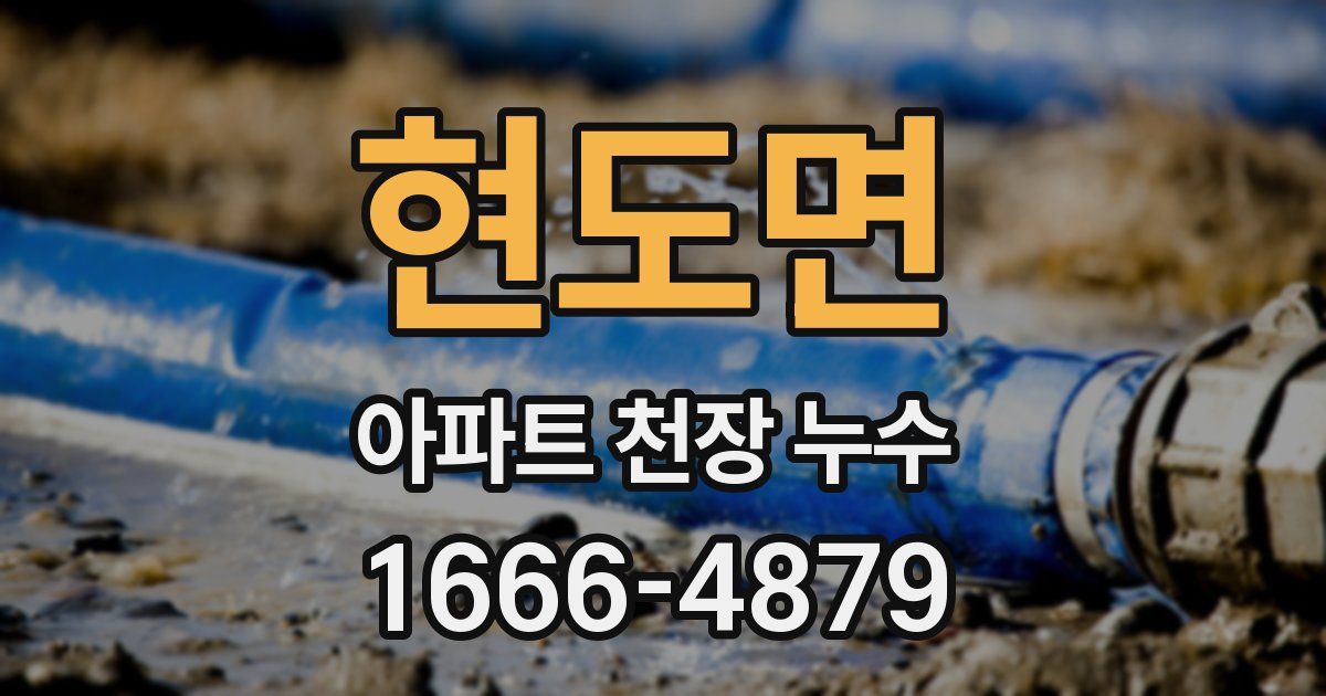 현도면 아파트 천장 누수