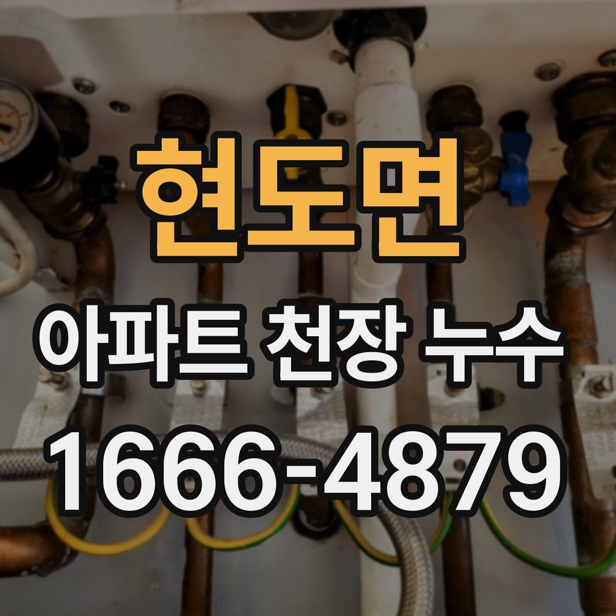 현도면 아파트 천장 누수