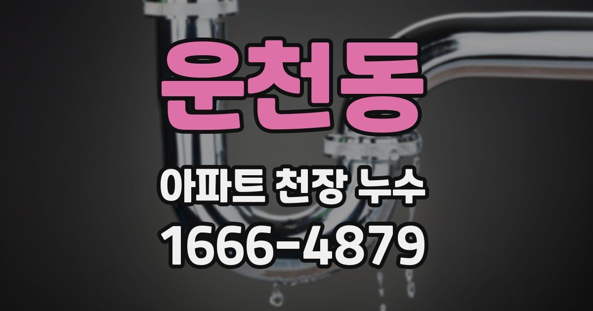 운천동 아파트 천장 누수