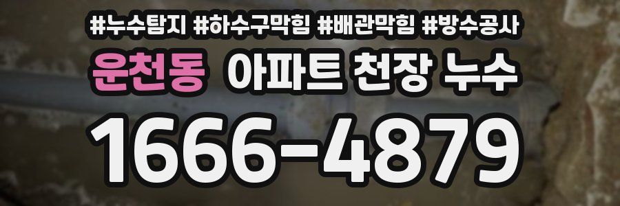 운천동 아파트 천장 누수