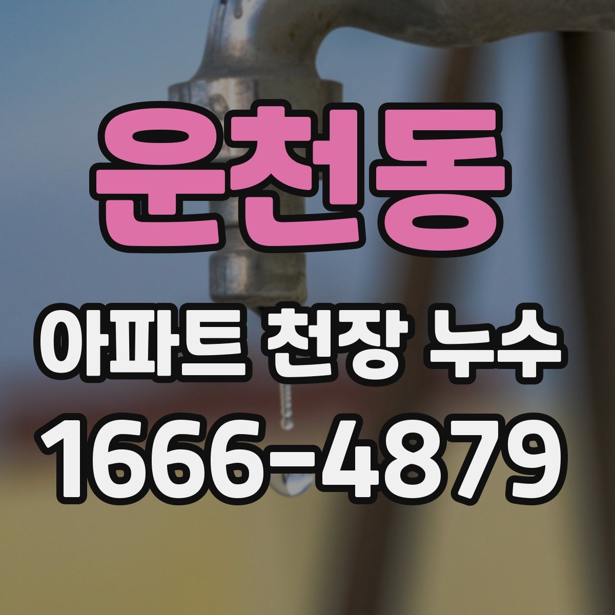 운천동 아파트 천장 누수