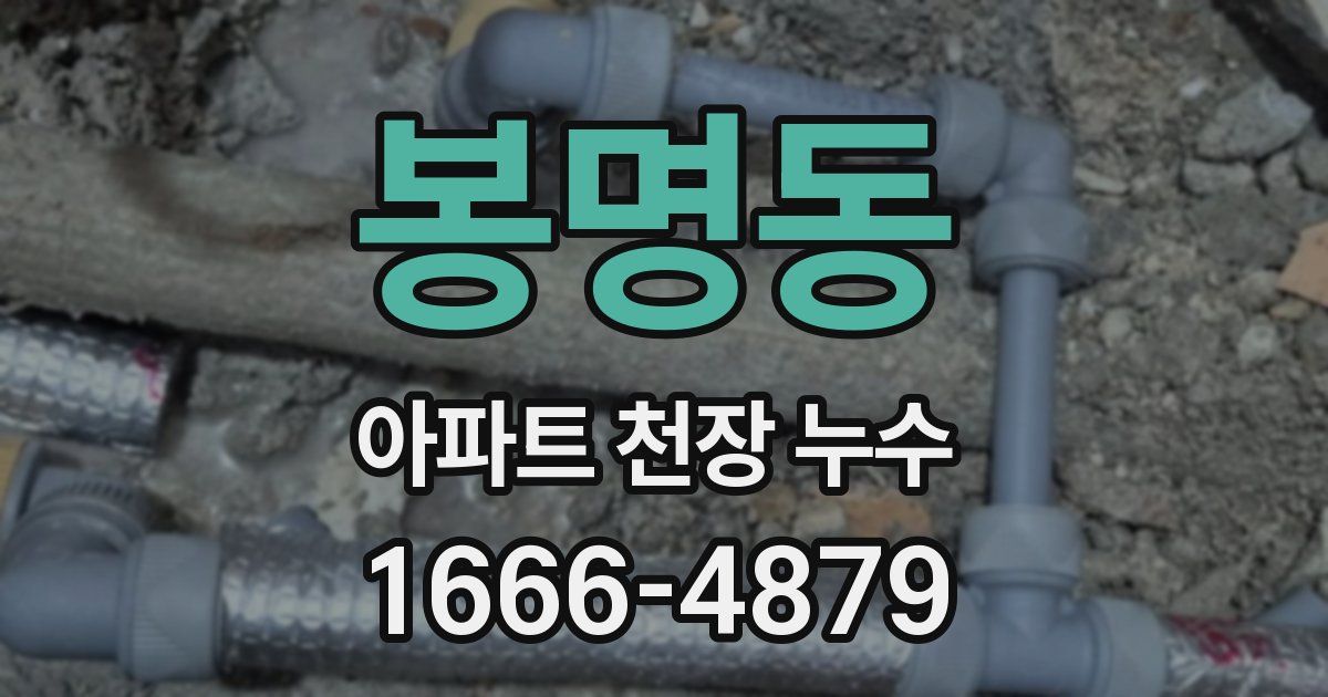 봉명동 아파트 천장 누수