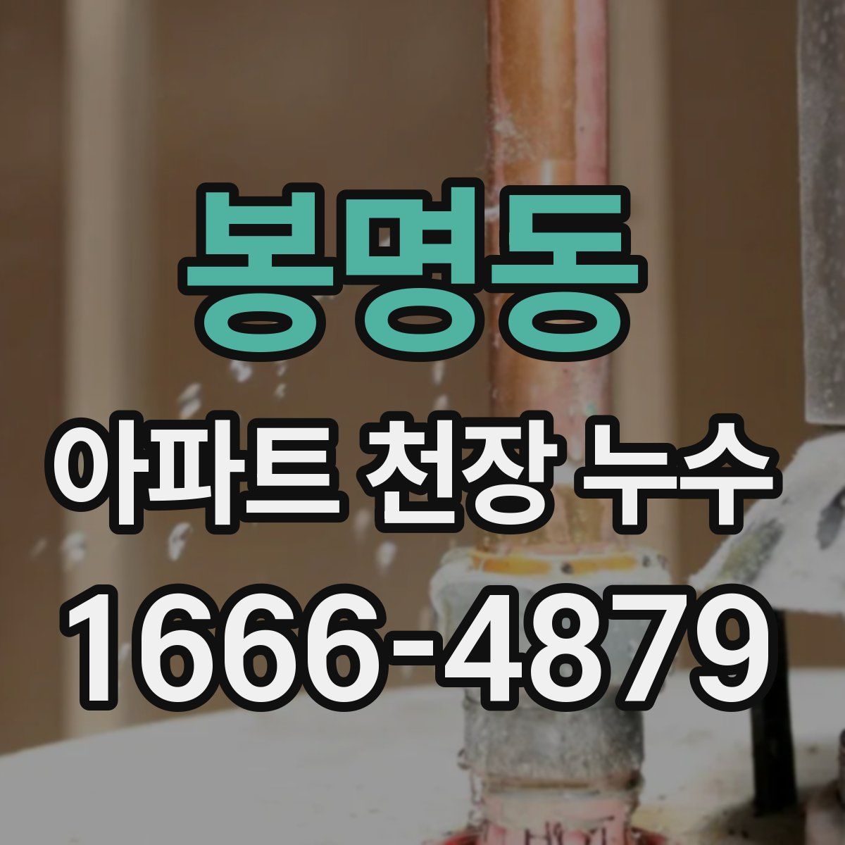 봉명동 아파트 천장 누수