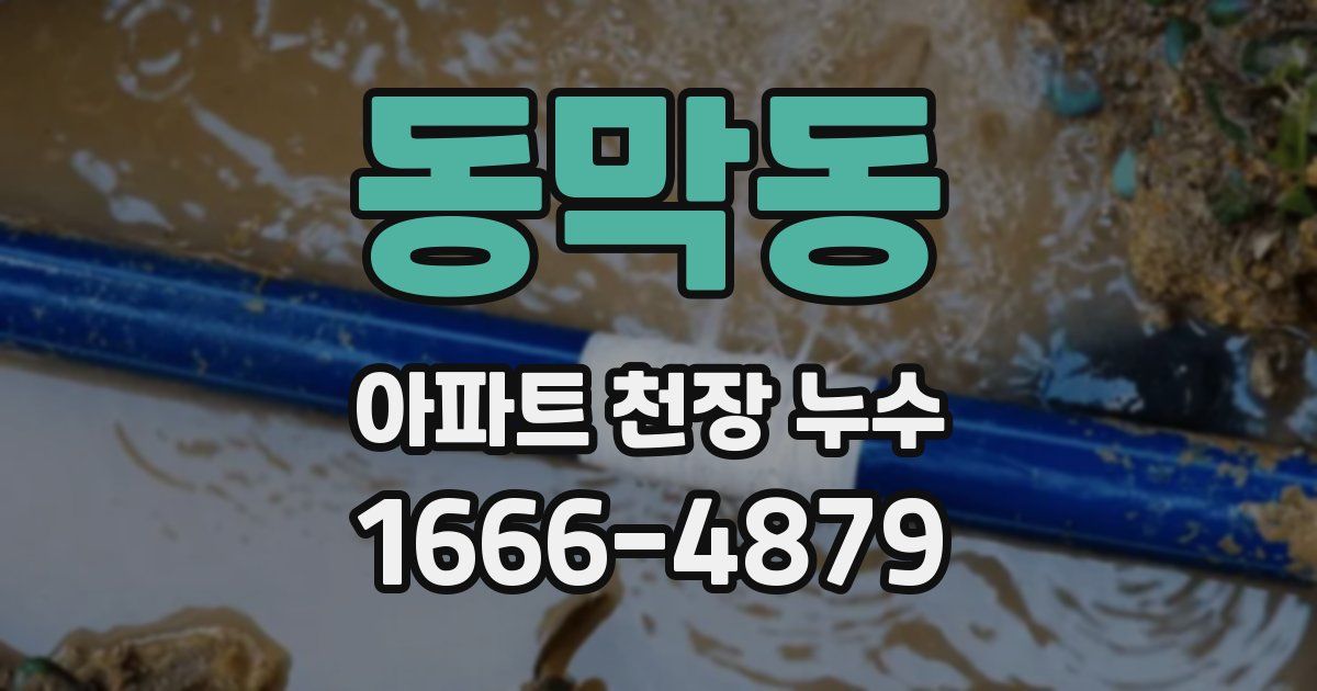 동막동 아파트 천장 누수