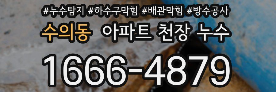 수의동 아파트 천장 누수