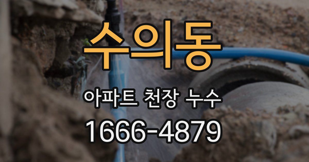 수의동 아파트 천장 누수