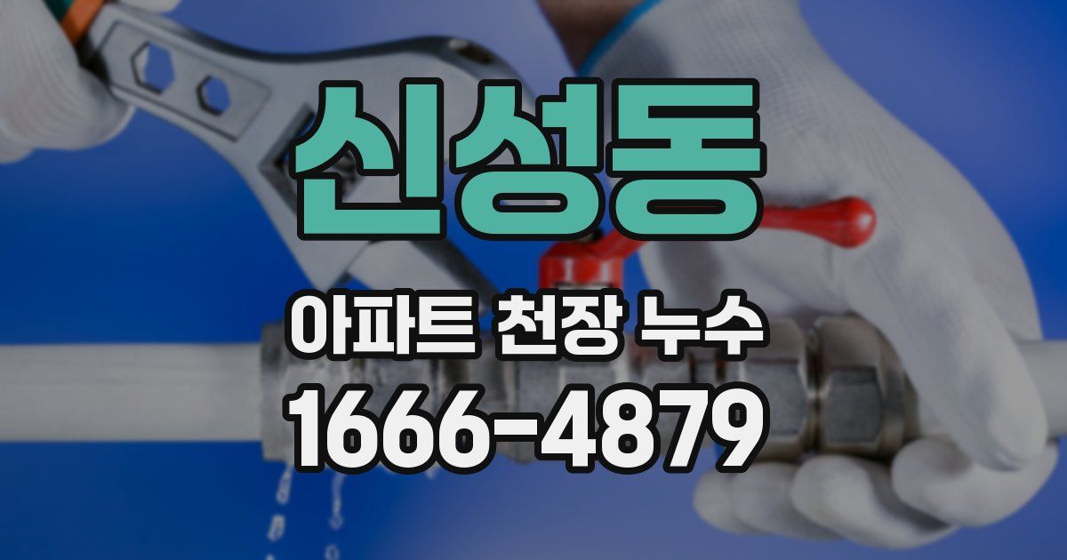 신성동 아파트 천장 누수