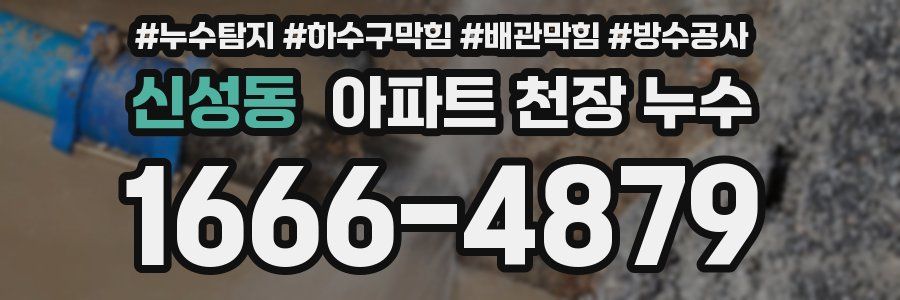 신성동 아파트 천장 누수