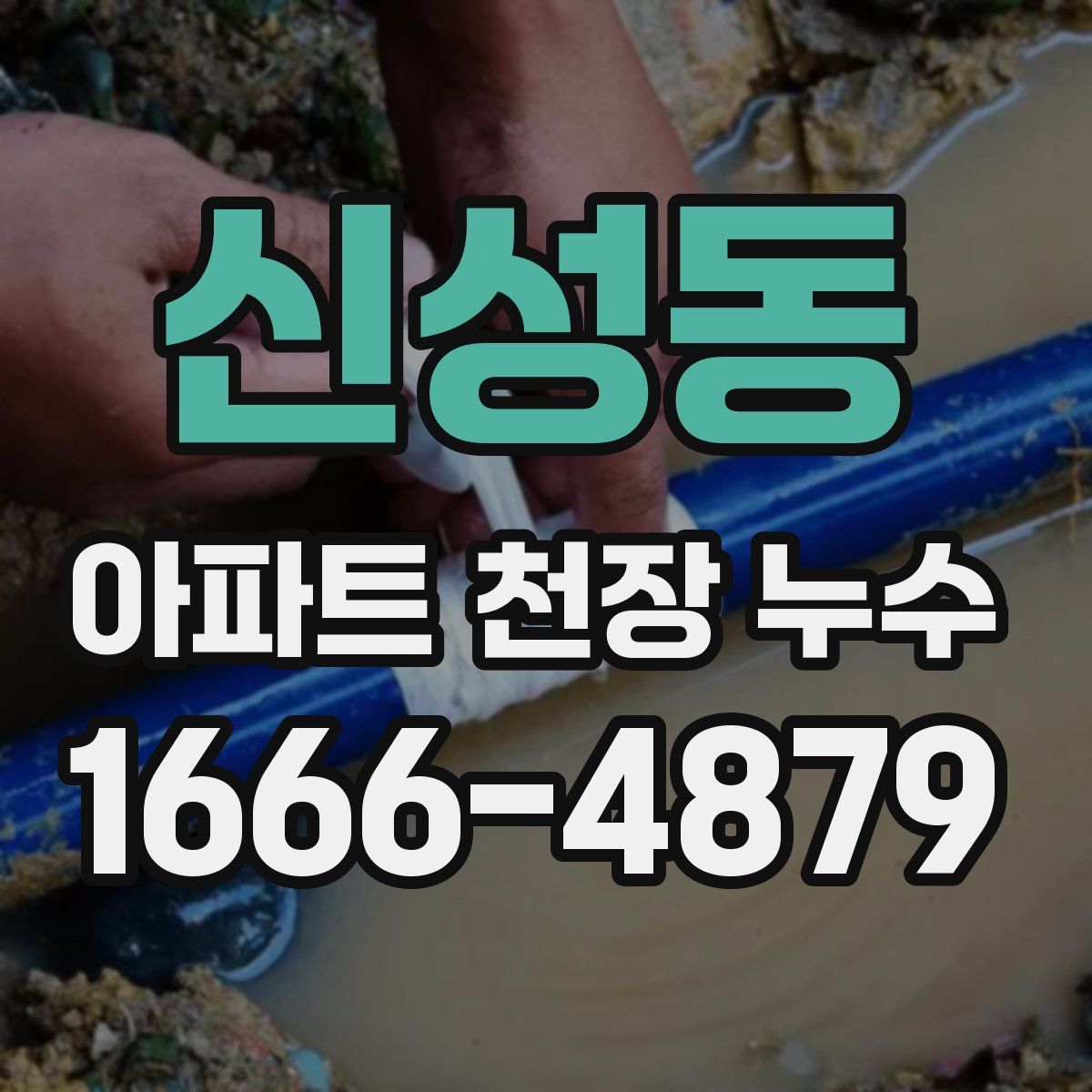 신성동 아파트 천장 누수