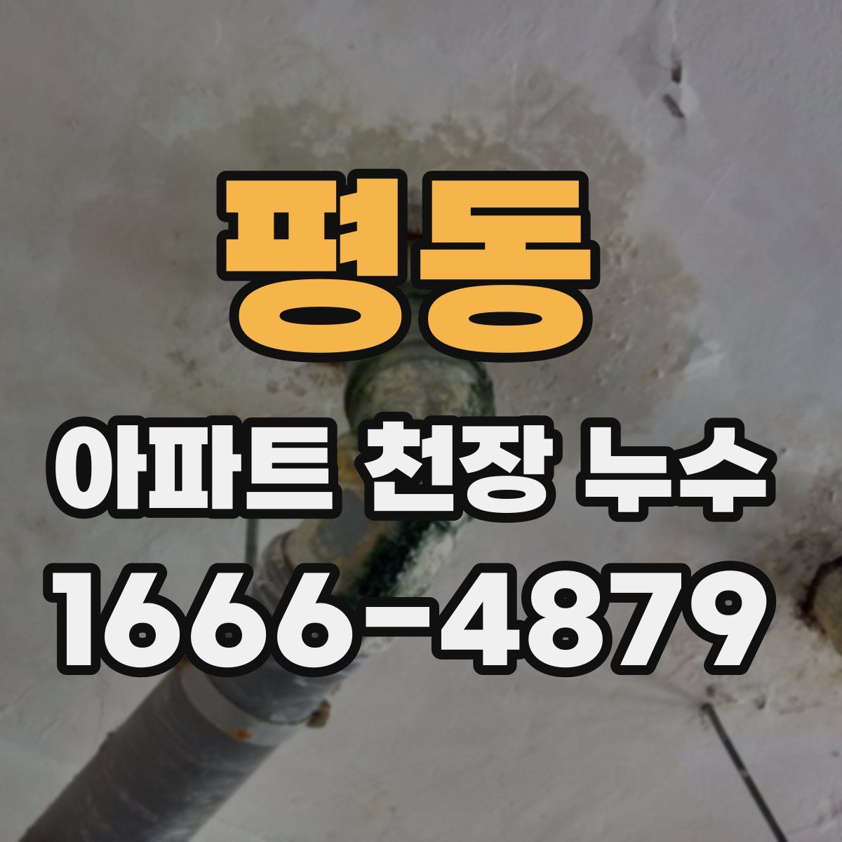 평동 아파트 천장 누수