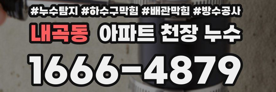 내곡동 아파트 천장 누수