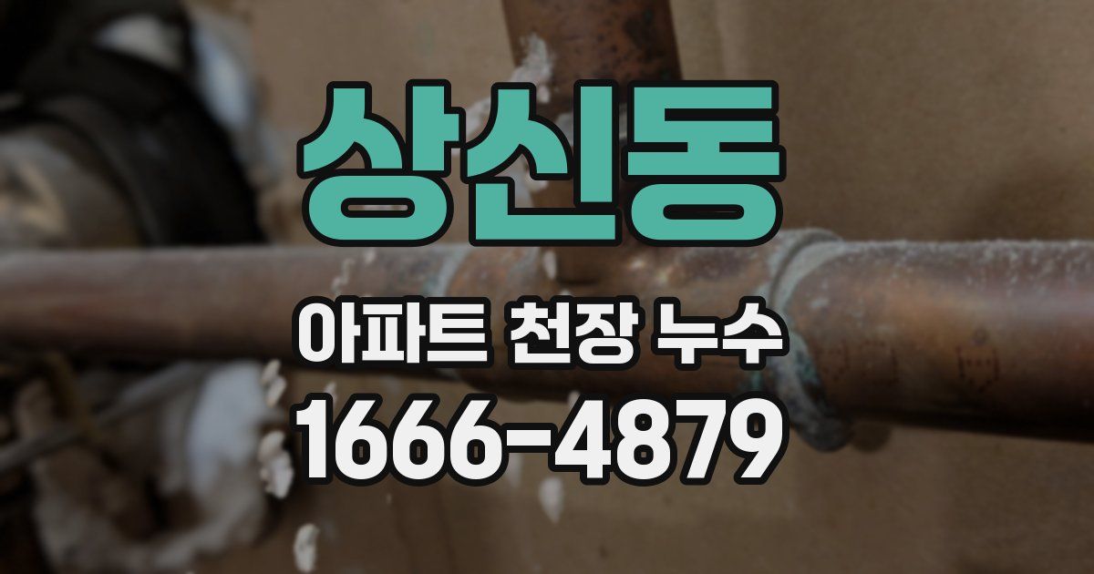 상신동 아파트 천장 누수