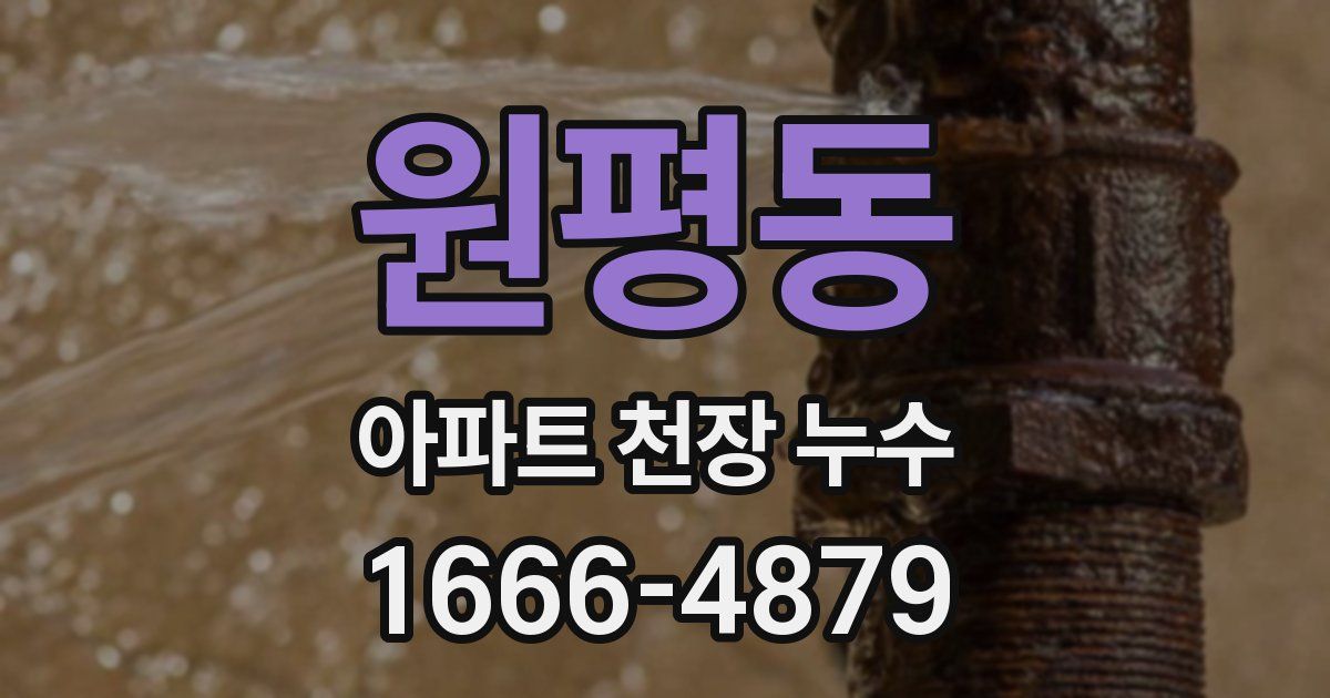 원평동 아파트 천장 누수