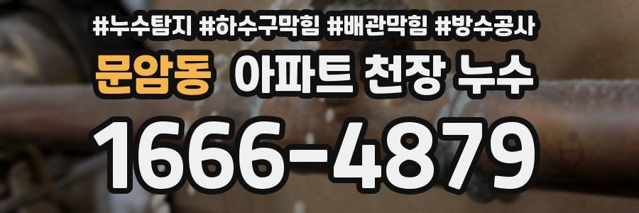 문암동 아파트 천장 누수