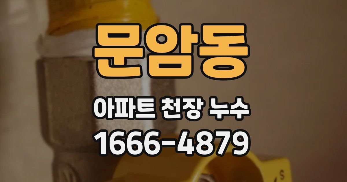 문암동 아파트 천장 누수