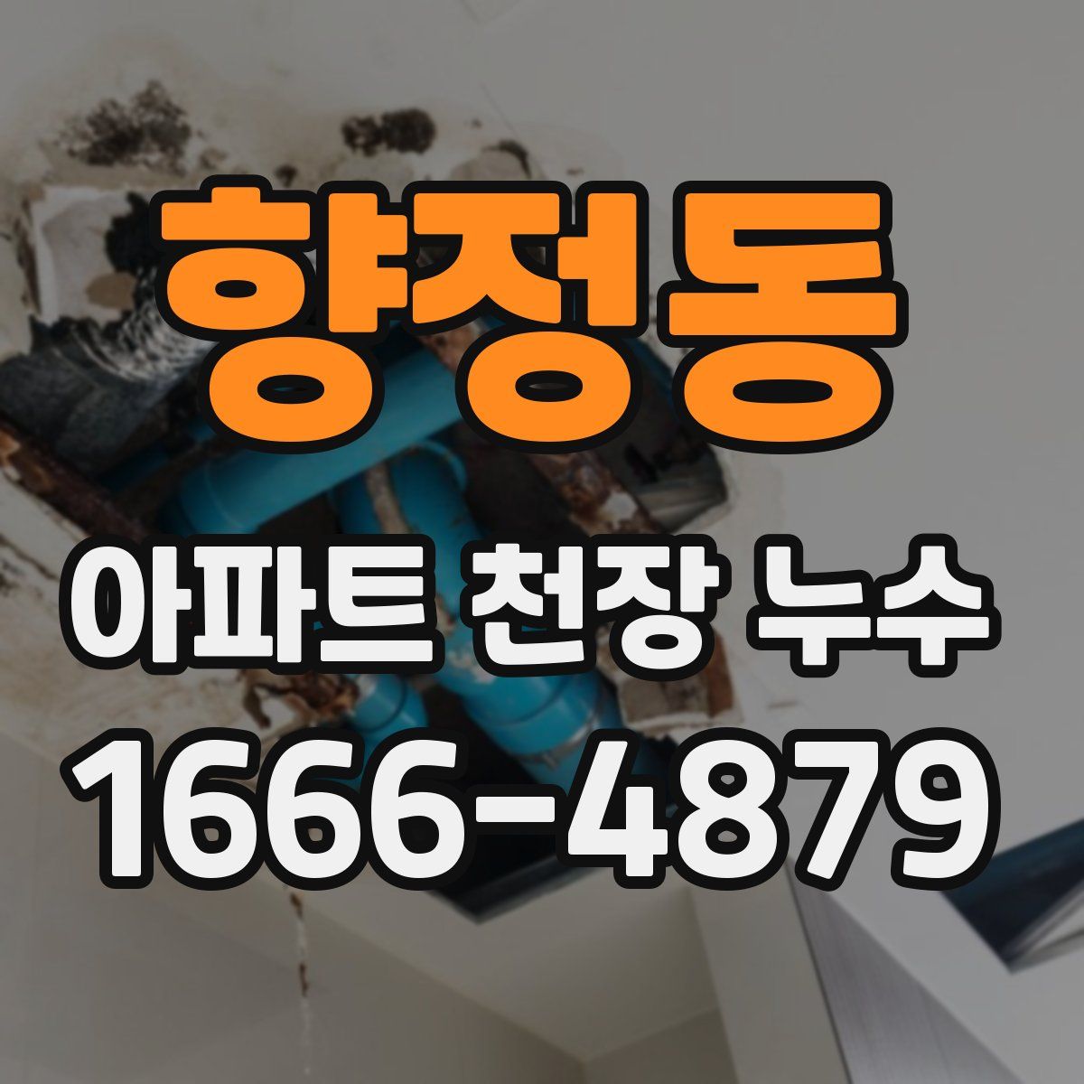 향정동 아파트 천장 누수