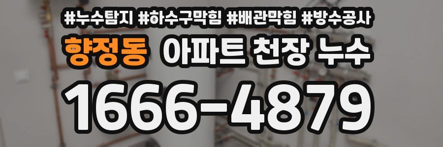 향정동 아파트 천장 누수