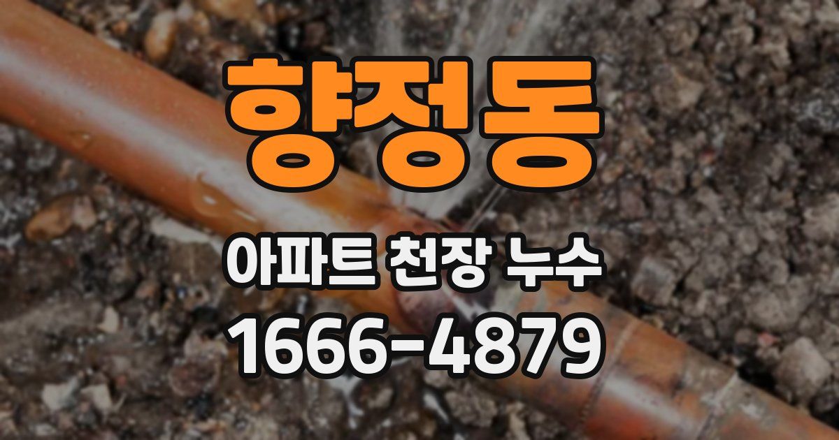 향정동 아파트 천장 누수