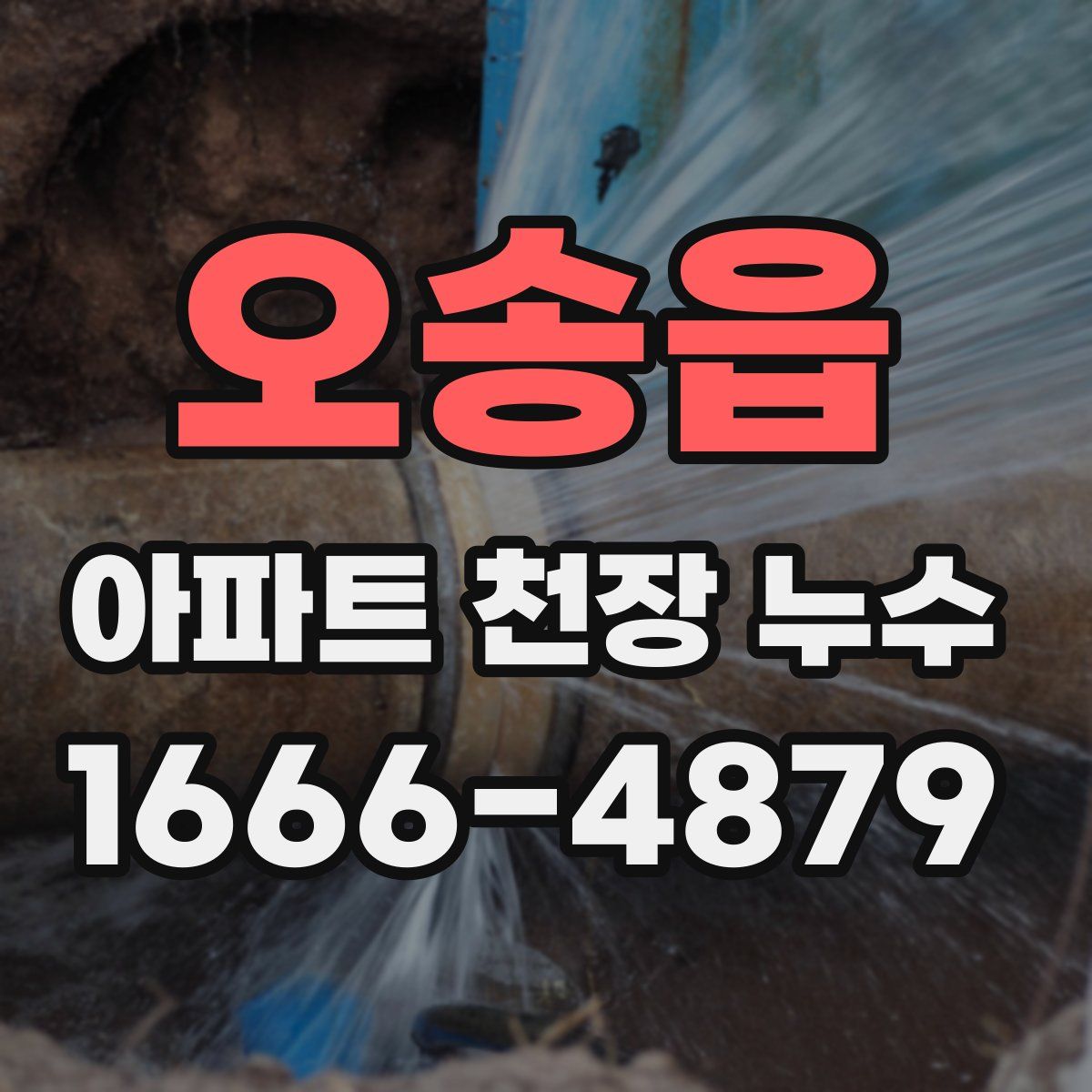 오송읍 아파트 천장 누수