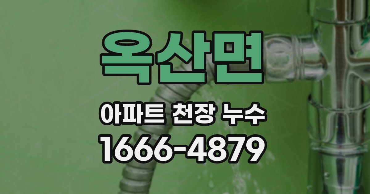 옥산면 아파트 천장 누수