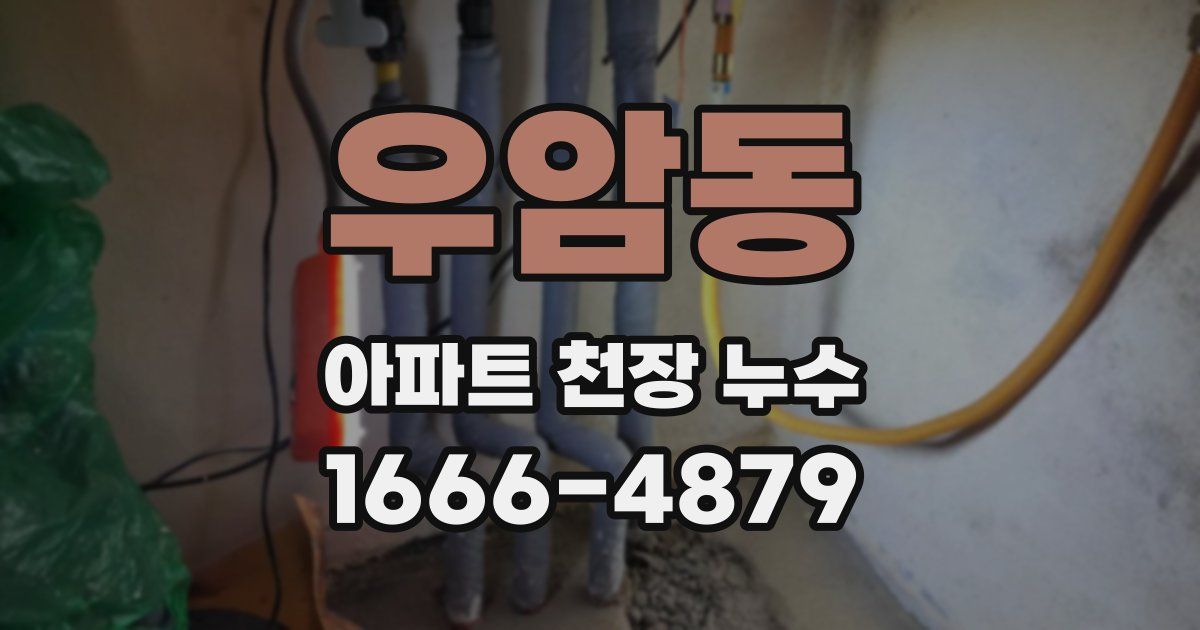우암동 아파트 천장 누수