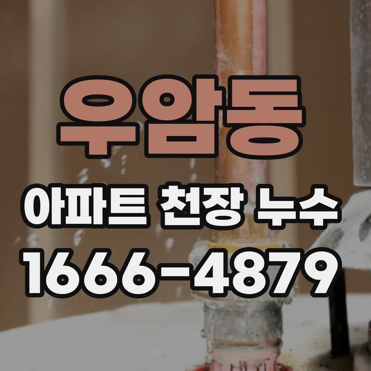 우암동 아파트 천장 누수