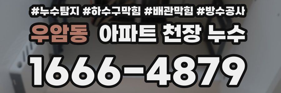 우암동 아파트 천장 누수