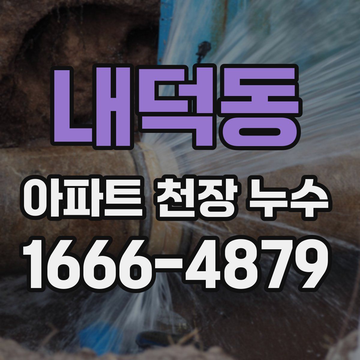 내덕동 아파트 천장 누수