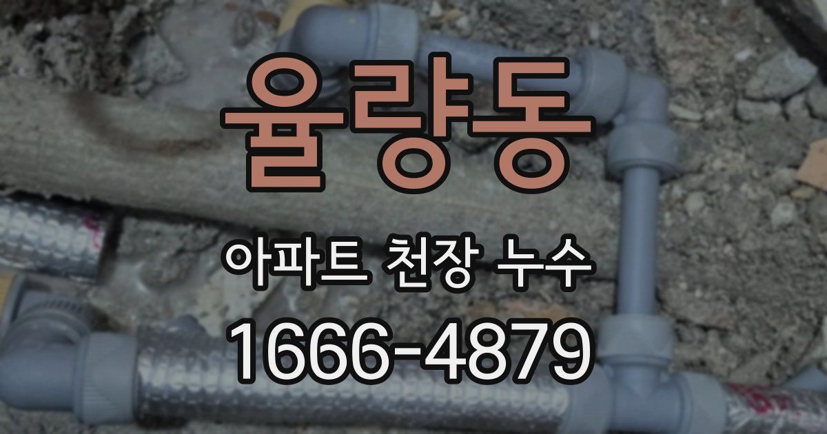 율량동 아파트 천장 누수