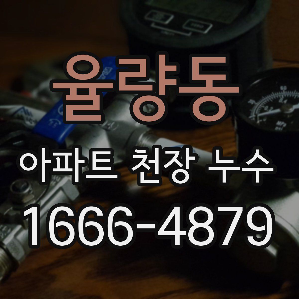 율량동 아파트 천장 누수