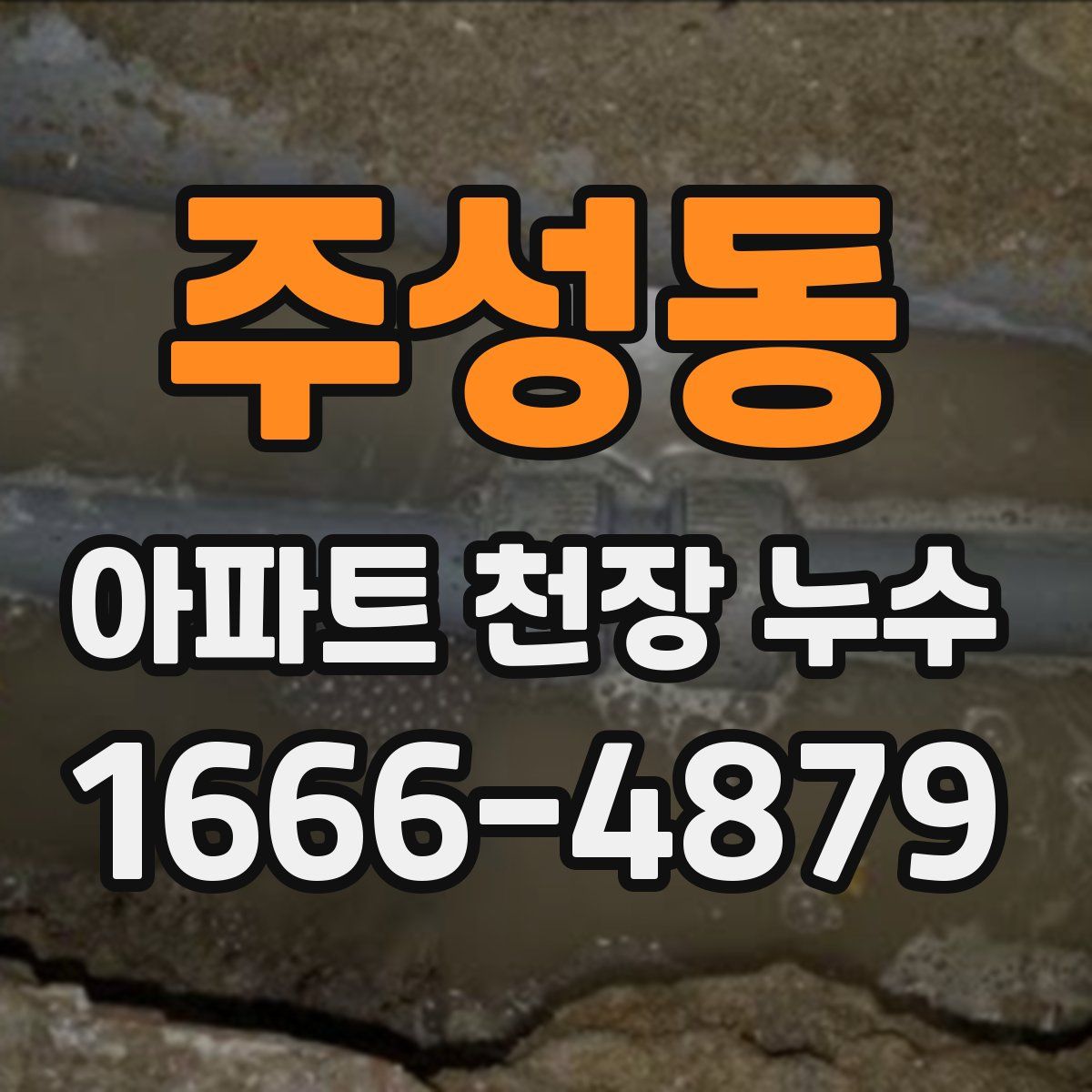 주성동 아파트 천장 누수