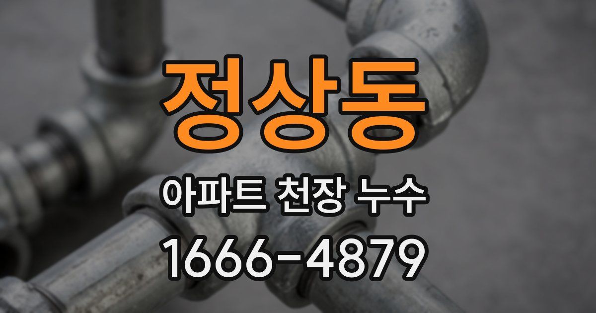 정상동 아파트 천장 누수