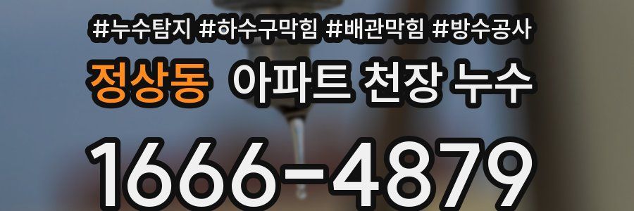 정상동 아파트 천장 누수
