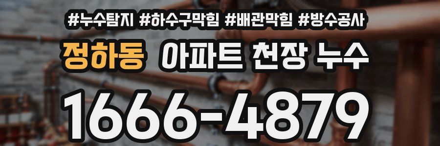정하동 아파트 천장 누수