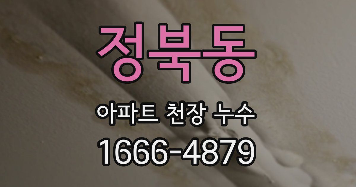 정북동 아파트 천장 누수